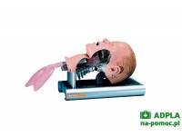 głowa do treningu płytkiej intubacji do laerdal resusci baby qcpr laerdal sprzęt szkoleniowy 6